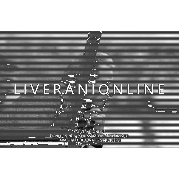 NEG- RETROSPETTIVA GIOVANNI TRAPATTONI ALLENATORE JUVENTUS NELLA FOTO GIOVANNI TRAPATTONI NELL’ANNO 1986 IN PANCHINA AG ALDO LIVERANI SAS