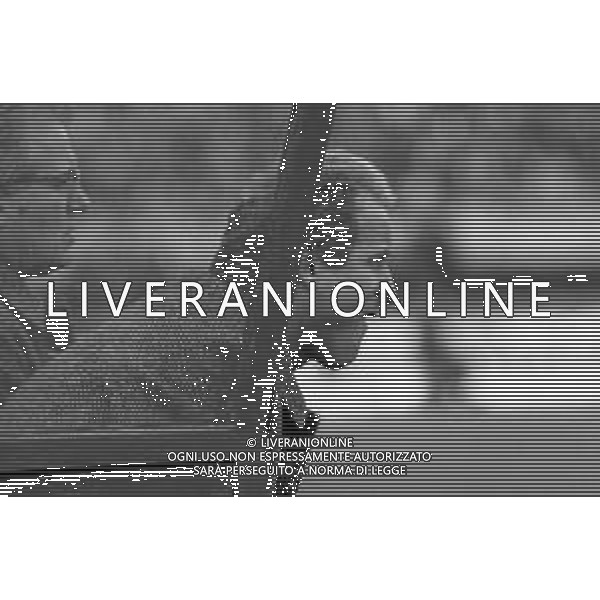 NEG- RETROSPETTIVA GIOVANNI TRAPATTONI ALLENATORE JUVENTUS NELLA FOTO GIOVANNI TRAPATTONI NELL’ANNO 1986 IN PANCHINA AG ALDO LIVERANI SAS