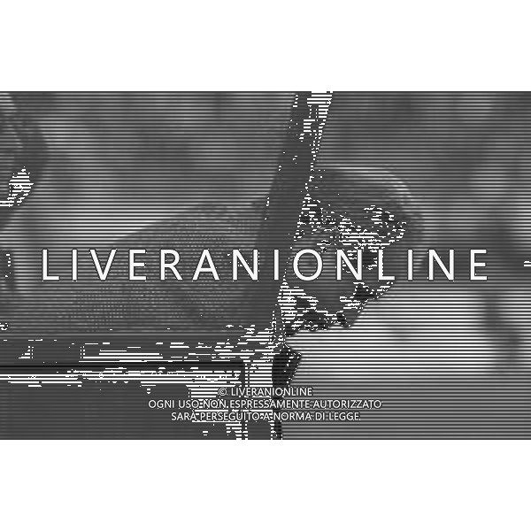 NEG- RETROSPETTIVA GIOVANNI TRAPATTONI ALLENATORE JUVENTUS NELLA FOTO GIOVANNI TRAPATTONI NELL’ANNO 1986 IN PANCHINA AG ALDO LIVERANI SAS