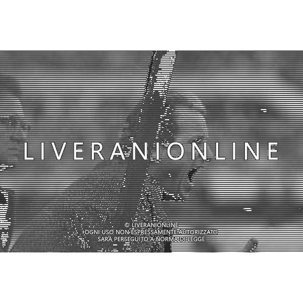 NEG- RETROSPETTIVA GIOVANNI TRAPATTONI ALLENATORE JUVENTUS NELLA FOTO GIOVANNI TRAPATTONI NELL’ANNO 1986 IN PANCHINA AG ALDO LIVERANI SAS