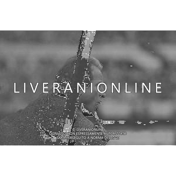 NEG- RETROSPETTIVA GIOVANNI TRAPATTONI ALLENATORE JUVENTUS NELLA FOTO GIOVANNI TRAPATTONI NELL’ANNO 1986 IN PANCHINA AG ALDO LIVERANI SAS