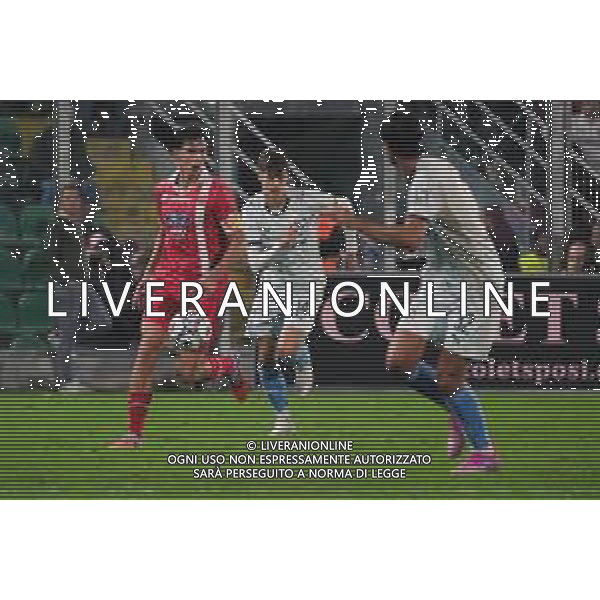 Palermo, Italia, 28 ottobre 2025. Stadio Renzo Barbera, Palermo vs Monza, match valido per il campionato di Serie B 2025/2026. Nella foto: Aljosa Vasic (Palermo FC) e Matteo Pessina (Monza) ©FEDERICO SERRA - AGENZIA ALDO LIVERANI SAS