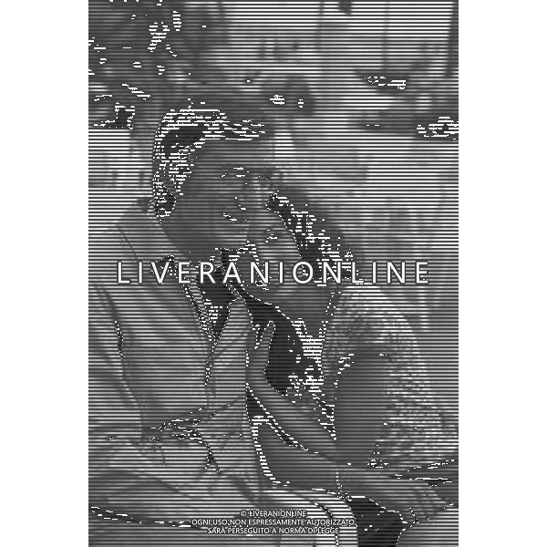 NEG-RETROSPETTIVA CARLO LIZZANI REGISTA NELLA FOTO CARLO LIZZANI REGISTA A CANNES NELL\'ANNO 1983 CON BEATRICE ROMANO AG ALDO LIVERANI SAS 