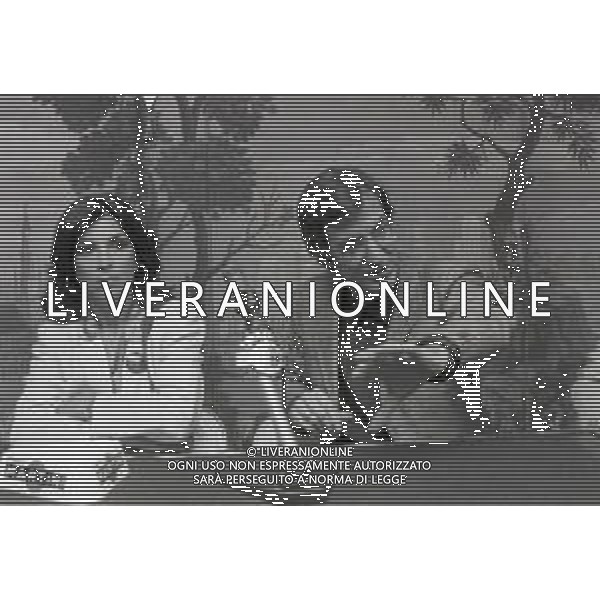 NEG-RETROSPETTIVA CARLO LIZZANI REGISTA NELLA FOTO CARLO LIZZANI REGISTA A MILANO IN TERRAZZA MARTINI PRESENTA IL FILM “ FONTAMARA“ NELL\'ANNO 1980 CON IDA DI BENEDETTO AG ALDO LIVERANI SAS 