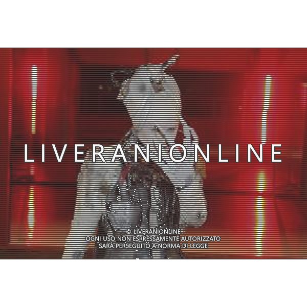 IMOLA 31 10 2025 AUTODROMO ENZO E DINO FERRARI "MONSTERLAND HALLOWEEN FESTIVAL NELLA FOTO LA MASCHERA PER MONSTERLAND ©SANNA - AGENZIA ALDO LIVERANI SAS