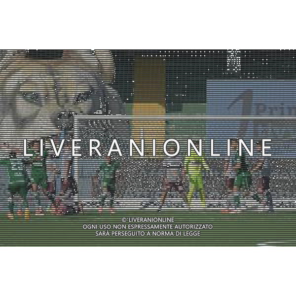 01 11 2025 - Avellino. Stadio Partenio-Lombardi. Serie BKT. Avellino-Reggiana Nella foto delusione Reggiana dopo gol 4-3 Foto Giuseppe Cuozzo/Agenzia Liverani Aldo Sas