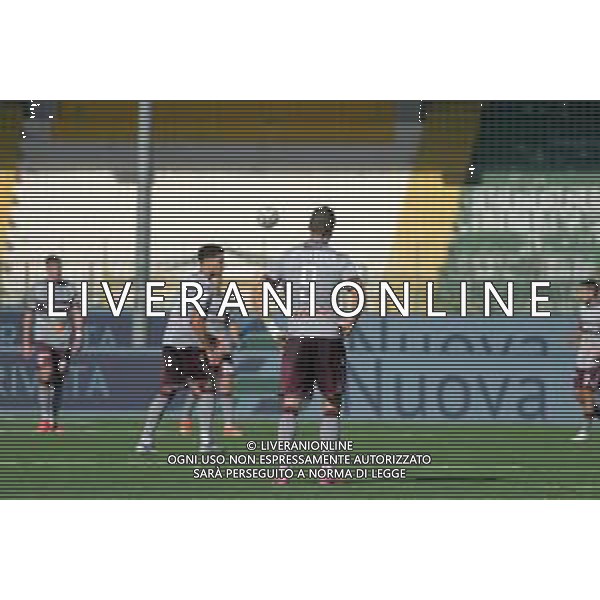 01 11 2025 - Avellino. Stadio Partenio-Lombardi. Serie BKT. Avellino-Reggiana Nella foto delusione Reggiana dopo gol 2-1 Foto Giuseppe Cuozzo/Agenzia Liverani Aldo Sas