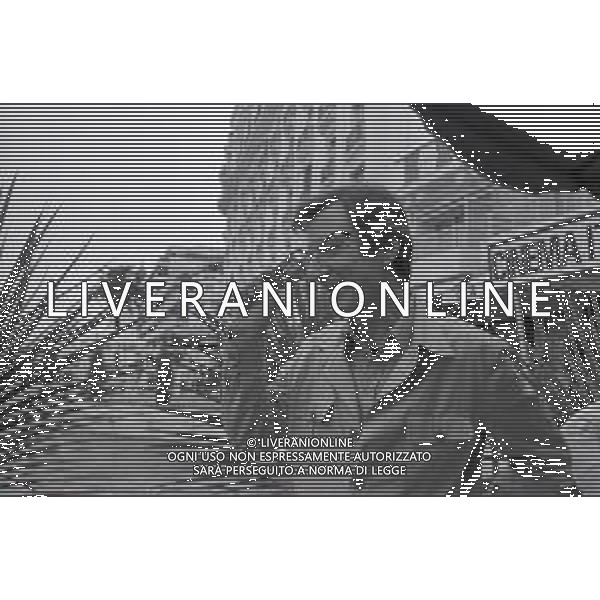 NEG-RETROSPETTIVA CARLO LIZZANI REGISTA NELLA FOTO CARLO LIZZANI REGISTA A CANNES NELL\'ANNO 1981 AG ALDO LIVERANI SAS 