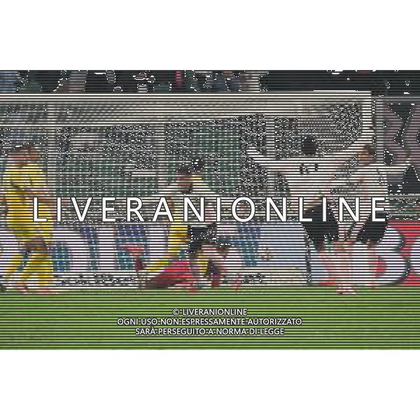 Palermo, Italia, 1 novembre 2025. Stadio Renzo Barbera, Palermo vs Pescara, match valido per il campionato di Serie B 2025/2026. Nella foto: Esultanza Niccolo’ Pierozzi (Palermo FC) ©Federico Serra - AGENZIA ALDO LIVERANI SAS