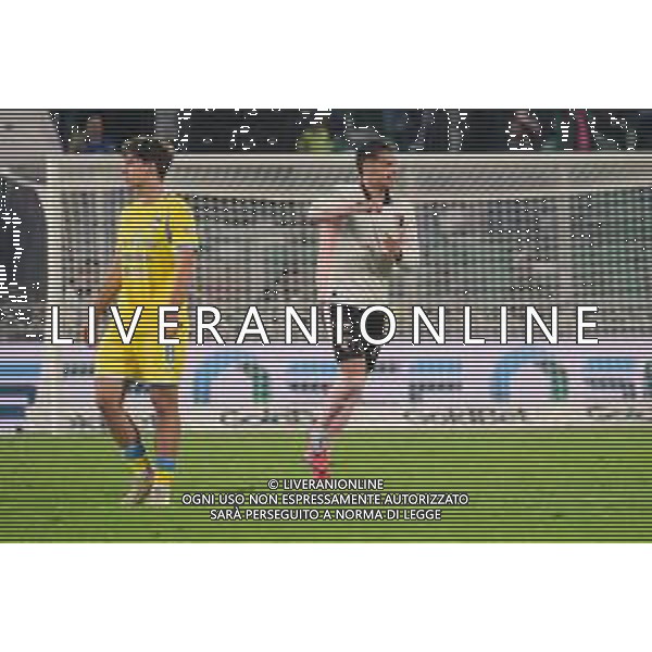 Palermo, Italia, 1 novembre 2025. Stadio Renzo Barbera, Palermo vs Pescara, match valido per il campionato di Serie B 2025/2026. Nella foto: Esultanza Niccolo’ Pierozzi (Palermo FC) ©Federico Serra - AGENZIA ALDO LIVERANI SAS