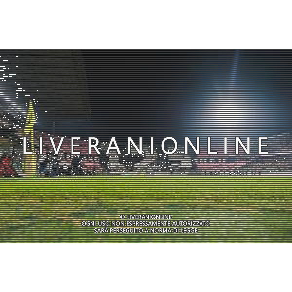 Palermo, Italia, 1 novembre 2025. Stadio Renzo Barbera, Palermo vs Pescara, match valido per il campionato di Serie B 2025/2026. Nella foto: Coreografia Tifosi del Palermo ©Federico Serra - AGENZIA ALDO LIVERANI SAS