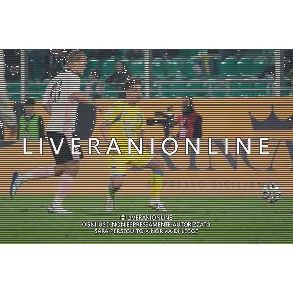 Palermo, Italia, 1 novembre 2025. Stadio Renzo Barbera, Palermo vs Pescara, match valido per il campionato di Serie B 2025/2026. Nella foto: Julian Brandes (Pescara) ©Federico Serra - AGENZIA ALDO LIVERANI SAS