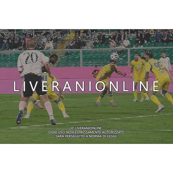 Palermo, Italy, 1 November 2025. Renzo Barbera Stadium, Palermo vs Pescara, match valid for the 2025/2026 Serie B championship. In the photo: Goal Salim Diakite\' (Palermo FC) ©Federico Serra - AGENZIA ALDO LIVERANI SAS