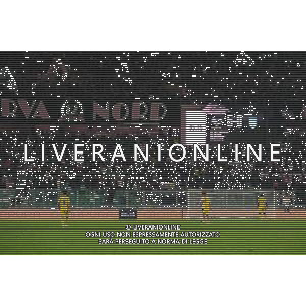 Palermo, Italia, 1 novembre 2025. Stadio Renzo Barbera, Palermo vs Pescara, match valido per il campionato di Serie B 2025/2026. Nella foto: Palermo vs Pescara 5-0 ©Federico Serra - AGENZIA ALDO LIVERANI SAS