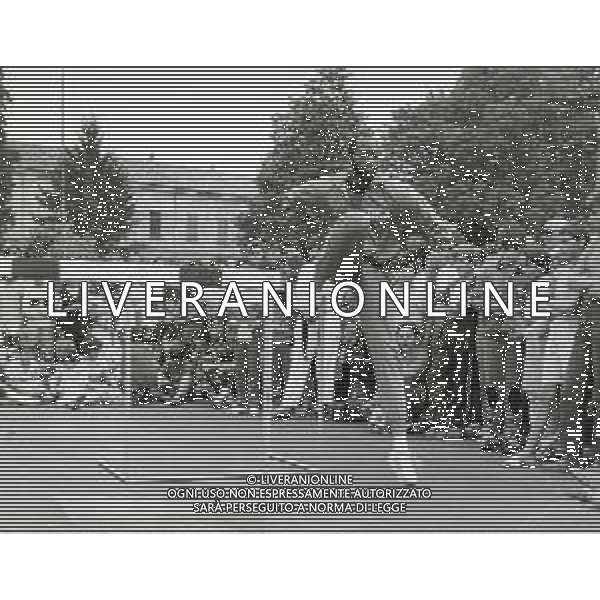 DIAP-RETROSPETTIVA EDWIN MOSES ATLETA NELLA FOTO EDWIN MOSES A VIGEVANO NELL\'ANNO 1984 AG ALDO LIVERANI SAS