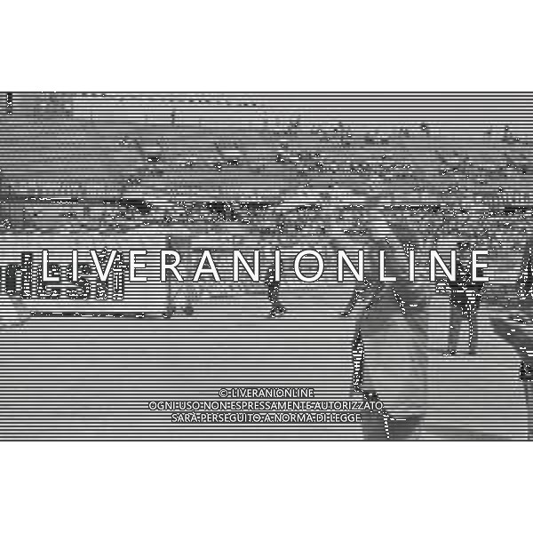 NEG-RETROSPETTIVA GIAN MAURO BORSANO PRESIDENTE TORINO CALCIO NELLA FOTO GIAN MAURO BORSANO NELL\'ANNO 1989 PRESIDENTE DEL TORINO CALCIO AG ALDO LIVERANI SAS 