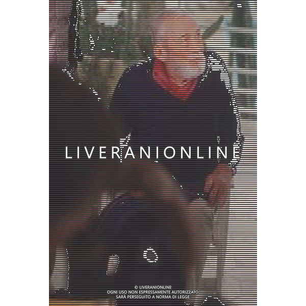 DIAP-RETROSPETTIVA JOHN HUSTIN ATTORE NELLA FOTO JOHN HUSTON A CANNES NELL\'ANNO 1984 AG ALDO LIVERANI SAS