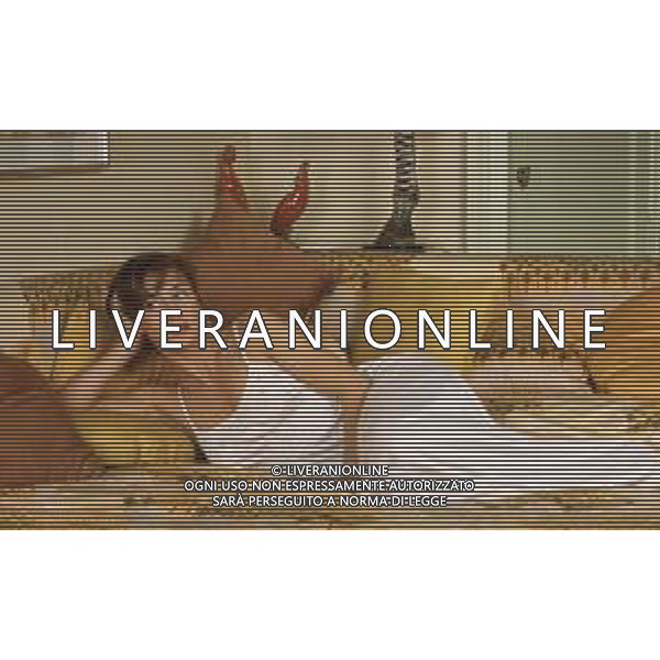 DIAP-RETROSPETTIVA BETRICE PALME ATTRICE NELLA FOTO BEATRICE PALME NELL\'ANNO 1985 AG ALDO LIVERANI SAS