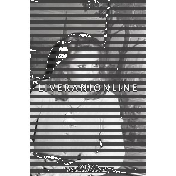 NEG-RETROSPETTIVA CATHERINE DENEUVE ATTRICE NELLA FOTO CATHERINE DENEUVE IN TERRAZZA MARTINI A MILANO ALLA PRESENTAZIONE DEL FILM “ULTIMO METRO“ IL GIORNO 10-04-1981 AG ALDO LIVERANI SAS