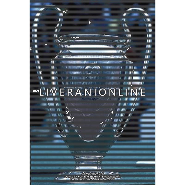 NELLA FOTO LA COPPA CAMPIONI FOTO ALDO LIVERANI