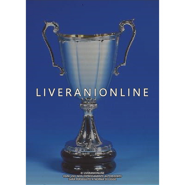 NELLA FOTO LA COPPA DELLE COPPE FOTO ALDO LIVERANI