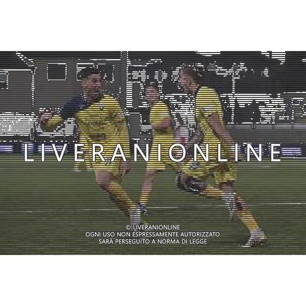 Pianese vs Rimini Campionato Serie C Sky Wifi - 13 Giornata Stadio Comunale - Piancastagnaio 08-11-2025 nella foto Esultanza Coccia e Bellini Foto di Federico Gaetano - ag.Aldo Liverani- AGENZIA ALDO LIVERANI SAS