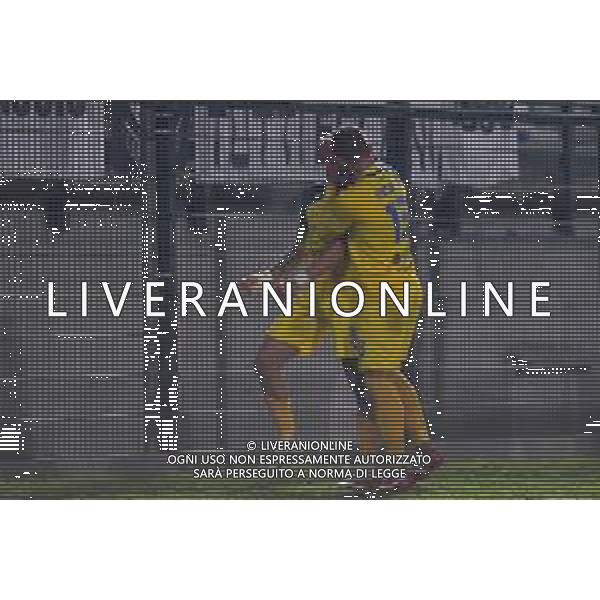 Pianese vs Rimini Campionato Serie C Sky Wifi - 13 Giornata Stadio Comunale - Piancastagnaio 08-11-2025 nella foto Esultanza Coccia e Ercolani Foto di Federico Gaetano - ag.Aldo Liverani- AGENZIA ALDO LIVERANI SAS