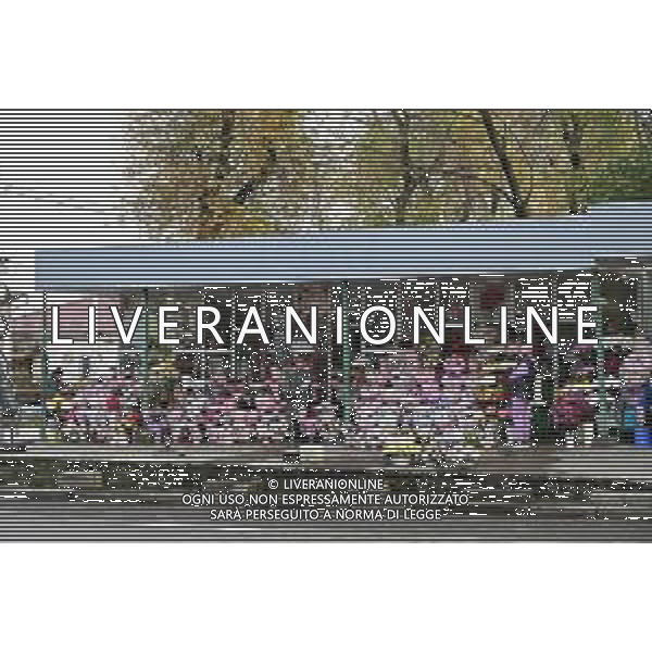 TVRG Chisinau panoramiche nella foto un negozio di fiori in centro città Chisinau (MOL) 13-11-2025 Panoramiche del centro città di Chisinau, capitale della Moldavia foto Roberto Garavaglia/Agenzia Aldo Liverani sas