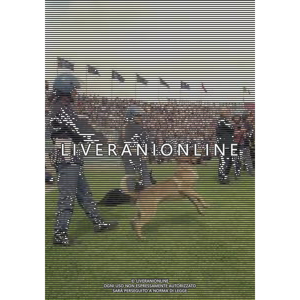 NEG-25-03-2001 PISA-CAMPIONATO DI CALCIO SERIE B PISA-LIVORNO 0-2 A TAVOLINO PER DISORDINI TRA LE TIFOSERIE NELLA FOTO POLIZIA DI STATO CON I CANI IN CAMPO AG ALDO LIVERANI SAS