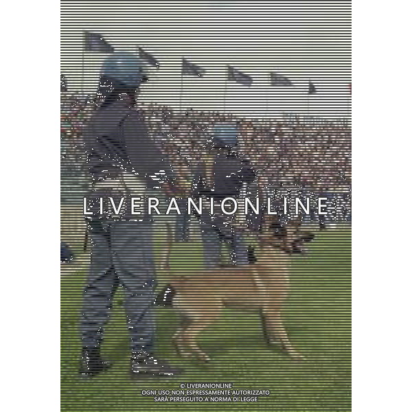 NEG-25-03-2001 PISA-CAMPIONATO DI CALCIO SERIE B PISA-LIVORNO 0-2 A TAVOLINO PER DISORDINI TRA LE TIFOSERIE NELLA FOTO POLIZIA DI STATO CON I CANI IN CAMPO AG ALDO LIVERANI SAS