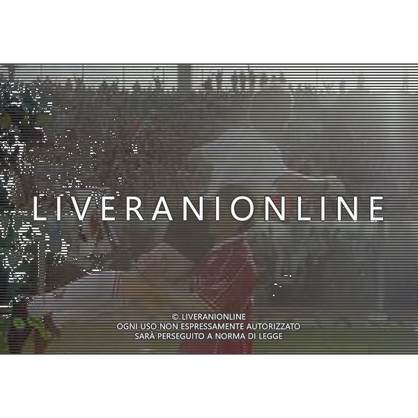 NEG-25-03-2001 PISA-CAMPIONATO DI CALCIO SERIE B PISA-LIVORNO 0-2 A TAVOLINO PER DISORDINI TRA LE TIFOSERIE NELLA FOTO ANDREA IVAN E IGOR PROTTI AG ALDO LIVERANI SAS