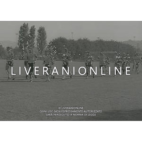 NEG-1981 ALLENAMENTO BOLOGNA CALCIO NELLA FOTO ALLENAMENTO BOLOGNA CALCIO AG ALDO LIVERANI SAS