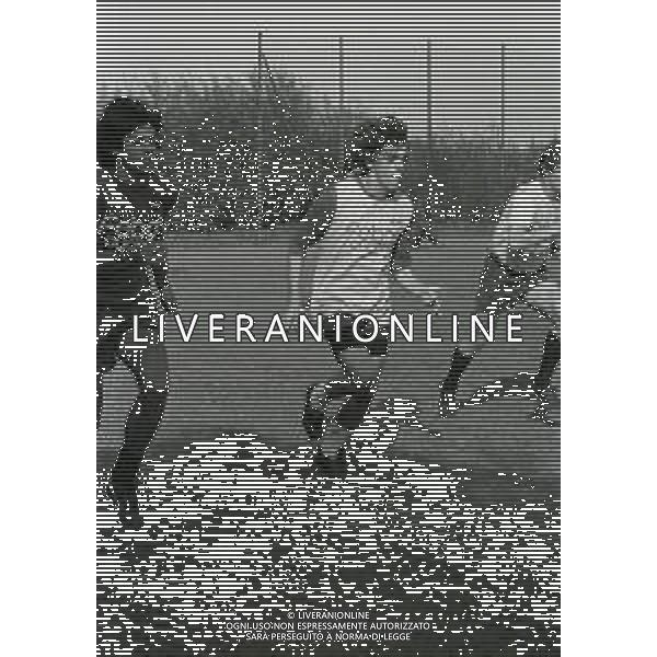 NEG-1981 ALLENAMENTO BOLOGNA CALCIO NELLA FOTO GIULIANO FIORINI AG ALDO LIVERANI SAS