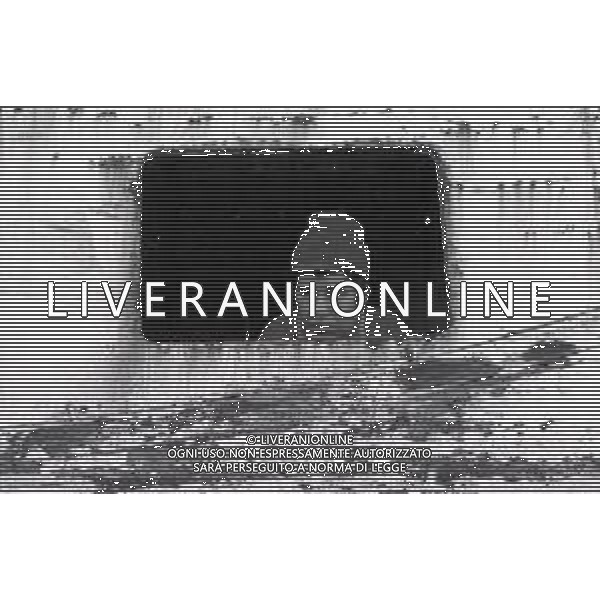 NEG MAZZARA DEL VALLO- I PESCHERECCI FERMI PER LA CRISI DELLA PESCA NELL\'ANNO 1982 AG ALDO LIVERANI SAS