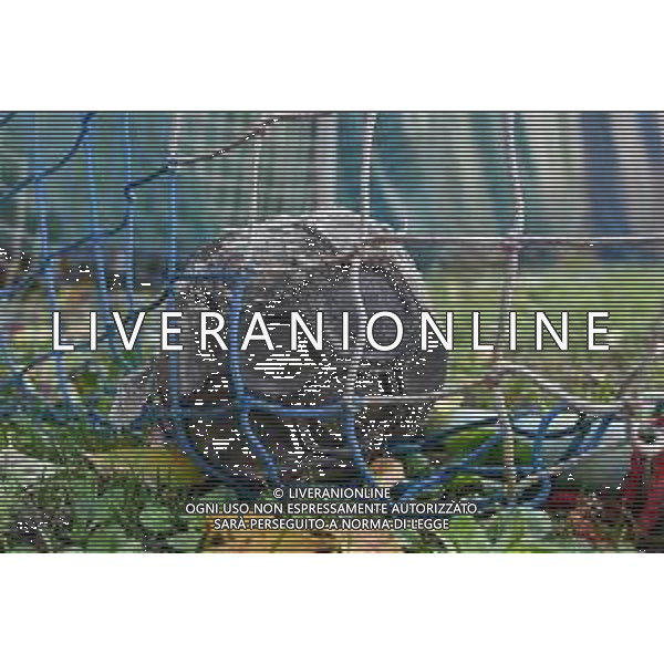 TVRG Pallone sgonfiato vecchio Milano 20-11-2025 Pallone sgonfiato, vecchio, calcio malato, sogni infranti rubati, violenza nel mondo del calcio foto Roberto Garavaglia/Agenzia Aldo Liverani sas