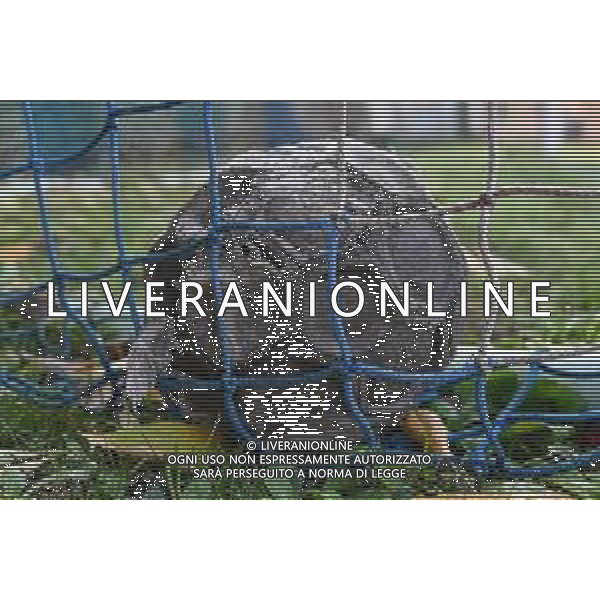 TVRG Pallone sgonfiato vecchio Milano 20-11-2025 Pallone sgonfiato, vecchio, calcio malato, sogni infranti rubati, violenza nel mondo del calcio foto Roberto Garavaglia/Agenzia Aldo Liverani sas