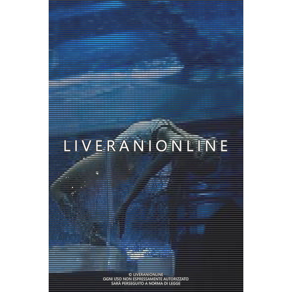 Roma 20 Novembre 2025 Elodie Live al Palazzo dello Sport di Roma in occasione del suo ‘ELODIE SHOW 2025’ Nella Foto: Elodie Foto Credit: Andrea Bracaglia- AG ALDO LIVERANI SAS