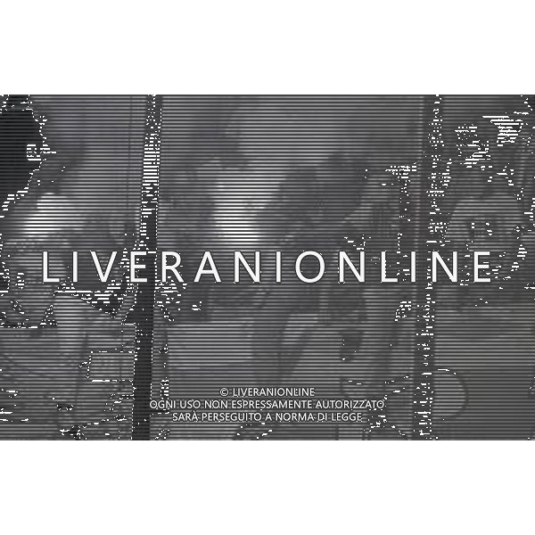 NEG-28-05-1995 MILANO-CAMPIONATO DI CALCIO SERIE A MILAN-BARI 0-1 NELLA FOTO TIFOSI BARI CALCIO AG ALDO LIVERANI SAS