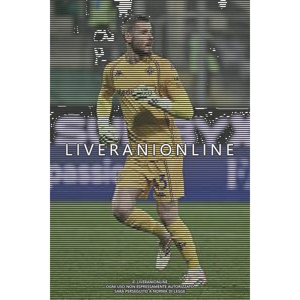 TVRG Fiorentina vs Juventus nella foto David De Gea (Fiorentina) Firenze 22-11-2025 Stadio Artemio Franchi Fiorentina vs Juventus Campionato Serie A Enilive - 12a giornata foto Roberto Garavaglia/Agenzia Aldo Liverani sas