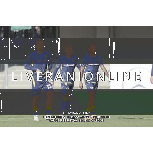 Hellas Veorna players expresses disappointment during Hellas Verona FC vs Parma Calcio FC, 12° Serie A Enilive 2025-26 game at Marcantonio Bentegodi stadium in Verona (VR), Italy, on November 23, 2025. (Photo by Davide Casentini) AG ALDO LIVERANI SAS