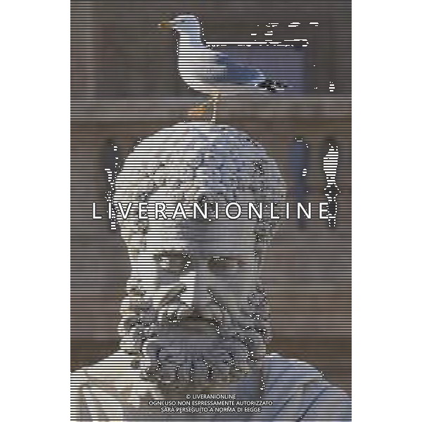 Citta\' del Vaticano 26 Novembre 2025 Udienza generale di Sua Santita\' Papa Leone XIV Nella Foto: gabbiani in piazza san pietro Foto Credit: Andrea Bracaglia