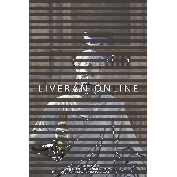 Citta\' del Vaticano 26 Novembre 2025 Udienza generale di Sua Santita\' Papa Leone XIV Nella Foto: gabbiani in piazza san pietro Foto Credit: Andrea Bracaglia