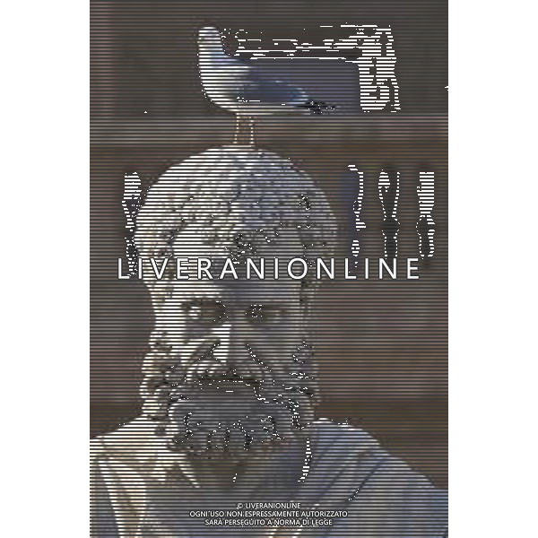 Citta\' del Vaticano 26 Novembre 2025 Udienza generale di Sua Santita\' Papa Leone XIV Nella Foto: gabbiani in piazza san pietro Foto Credit: Andrea Bracaglia