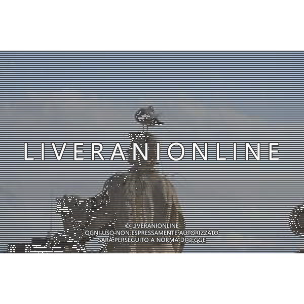 Citta\' del Vaticano 26 Novembre 2025 Udienza generale di Sua Santita\' Papa Leone XIV Nella Foto: gabbiani in piazza san pietro Foto Credit: Andrea Bracaglia