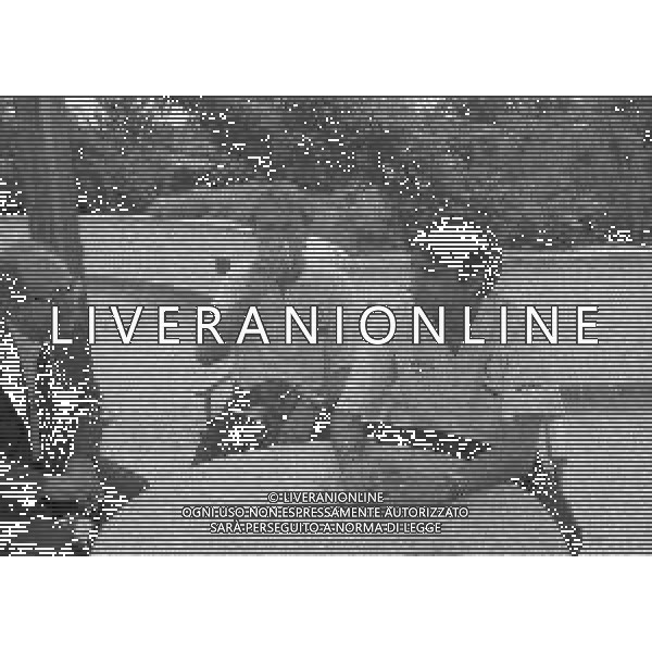 NEG--1995-1996 MILANO RADUNO INTER ALL\'HARBOUR CLUB NELLA FOTO IL GIORNALISTA GINO FRANCHETTI CON DAVIDE FONTOLAN E SEBASTIAN RAMBERT AG ALDO LIVERNI SAS