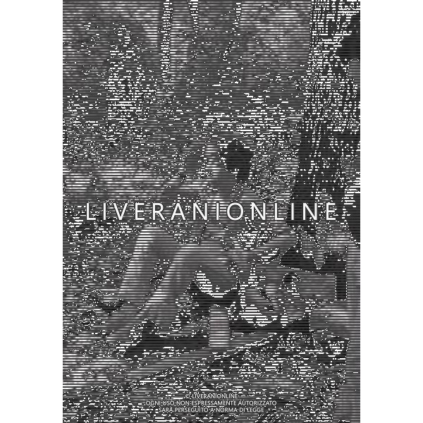 NEG-12-09-1976 GRAN PREMIO D\'ITALIA F1 A MONZA NELLA FOTO CROLLO DEL PANNELLO PUBBLICITARIO A MONZA AG ALDO LIVERANI SAS