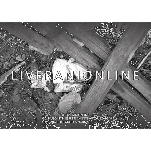 NEG-12-09-1976 GRAN PREMIO D\'ITALIA F1 A MONZA NELLA FOTO CROLLO DEL PANNELLO PUBBLICITARIO A MONZA AG ALDO LIVERANI SAS