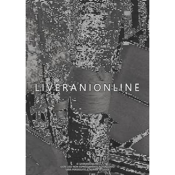 NEG-12-09-1976 GRAN PREMIO D\'ITALIA F1 A MONZA NELLA FOTO CROLLO DEL PANNELLO PUBBLICITARIO A MONZA AG ALDO LIVERANI SAS