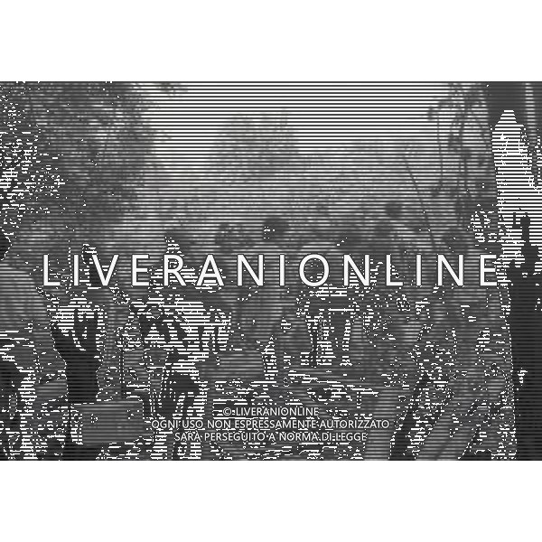 NEG-12-09-1976 GRAN PREMIO D\'ITALIA F1 A MONZA NELLA FOTO CROLLO DEL PANNELLO PUBBLICITARIO A MONZA AG ALDO LIVERANI SAS