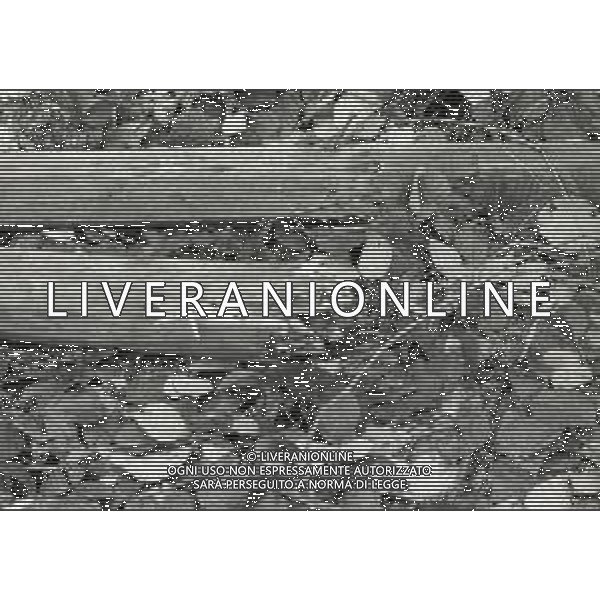 NEG-12-09-1976 GRAN PREMIO D\'ITALIA F1 A MONZA NELLA FOTO CROLLO DEL PANNELLO PUBBLICITARIO A MONZA AG ALDO LIVERANI SAS